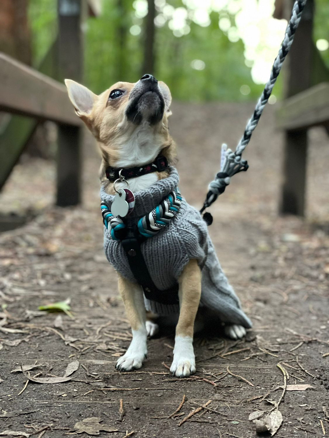 Geschirr Fishbone