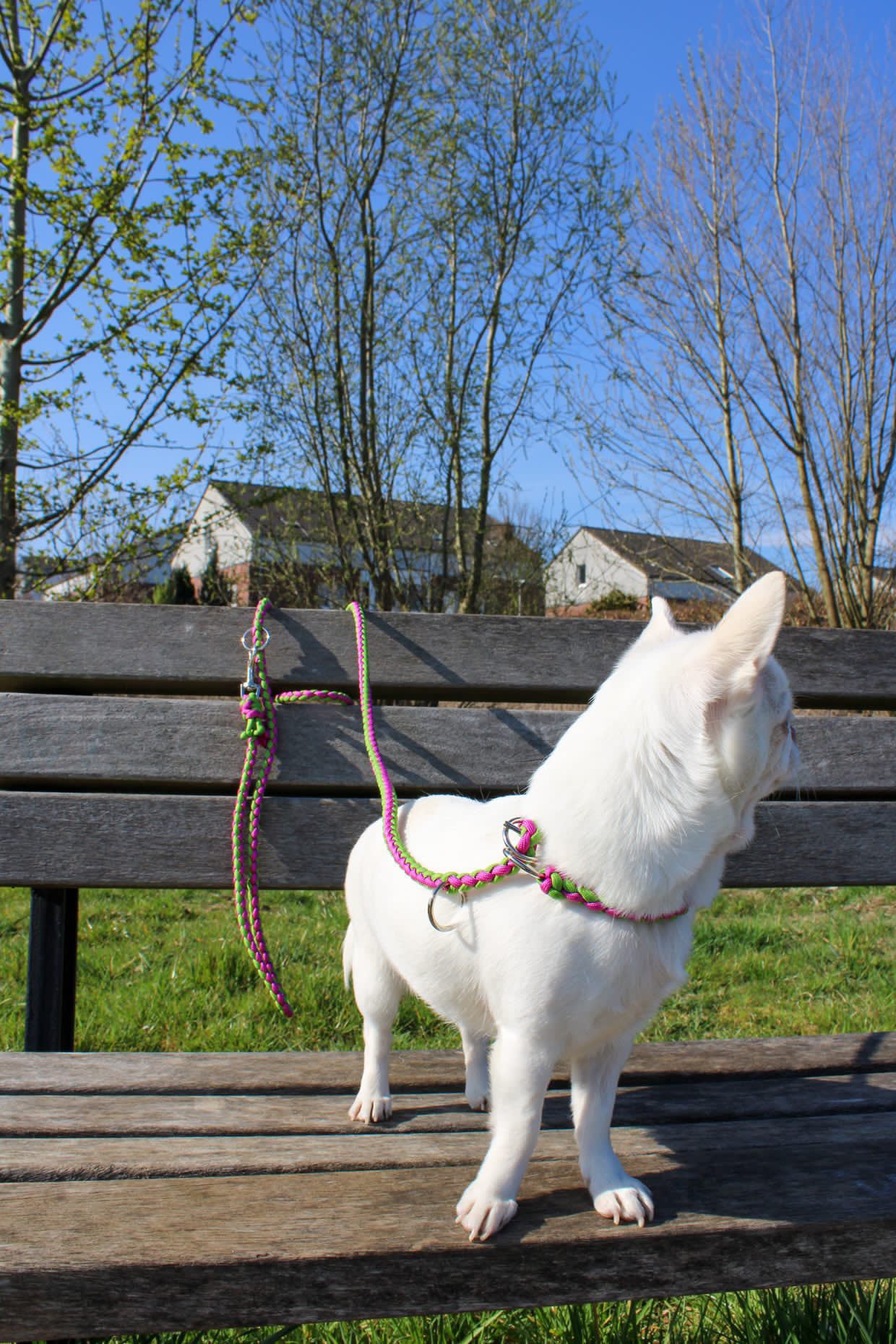 Retrieverleine