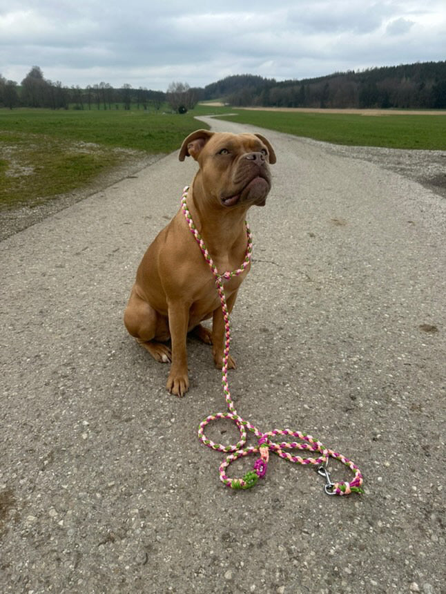 Retrieverleine