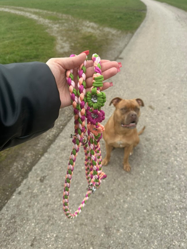 Retrieverleine